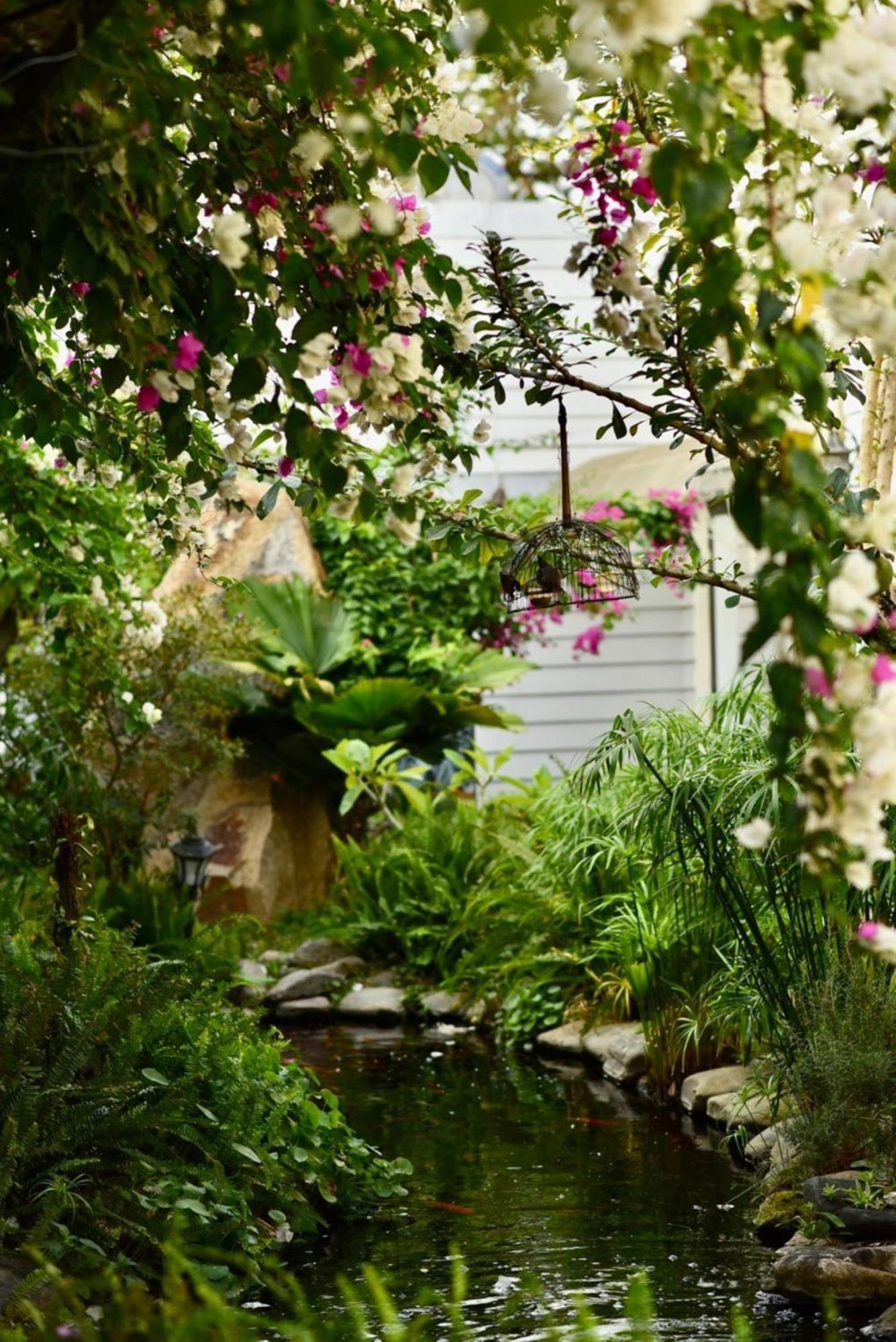 كون توم Window Homestay المظهر الخارجي الصورة