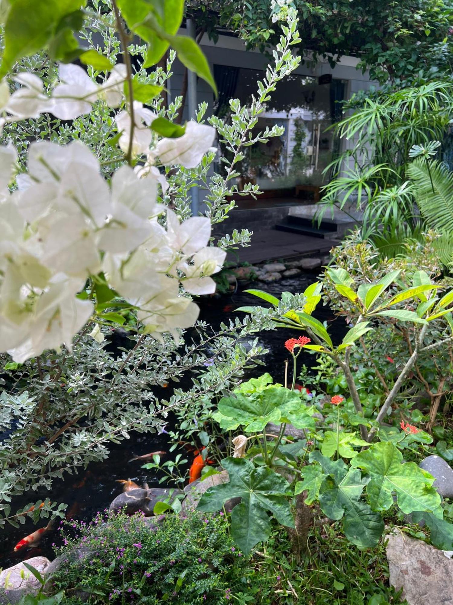 كون توم Window Homestay المظهر الخارجي الصورة